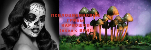 PSILOCYBIN Бугульма